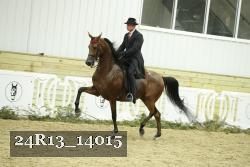 24R13_14015 thumbnail