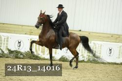 24R13_14016 thumbnail