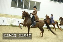 24R13_14017 thumbnail