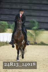 24R13_14018 thumbnail