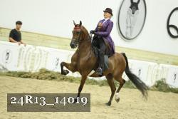 24R13_14019 thumbnail