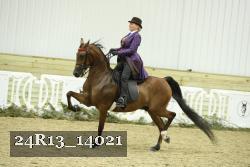 24R13_14021 thumbnail