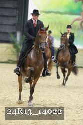 24R13_14022 thumbnail