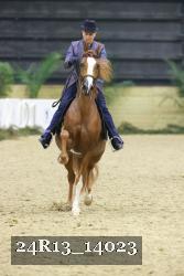24R13_14023 thumbnail