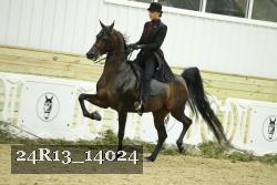24R13_14024 thumbnail