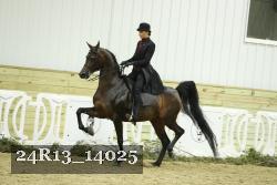 24R13_14025 thumbnail