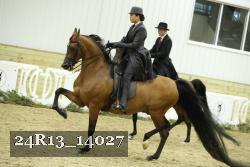 24R13_14027 thumbnail