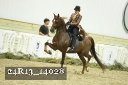 24R13_14028 thumbnail