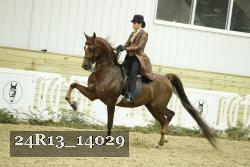 24R13_14029 thumbnail