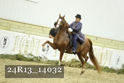 24R13_14032 thumbnail