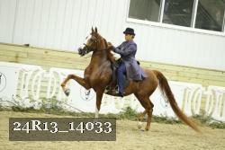 24R13_14033 thumbnail