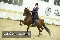 24R13_14034 thumbnail