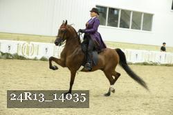 24R13_14035 thumbnail