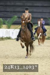24R13_14037 thumbnail