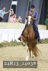 24R13_14038 thumbnail