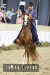 24R13_14039 thumbnail