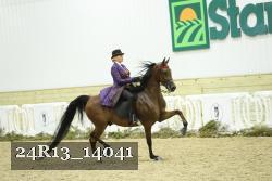 24R13_14041 thumbnail