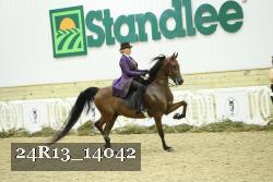24R13_14042 thumbnail