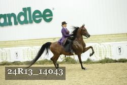 24R13_14043 thumbnail