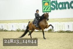 24R13_14044 thumbnail