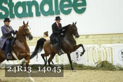 24R13_14045 thumbnail