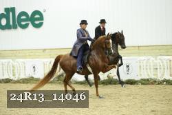24R13_14046 thumbnail