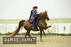 24R13_14047 thumbnail