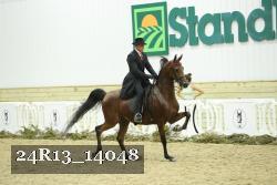 24R13_14048 thumbnail
