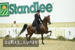 24R13_14049 thumbnail