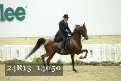 24R13_14050 thumbnail