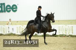 24R13_14051 thumbnail