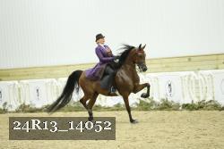 24R13_14052 thumbnail