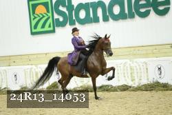 24R13_14053 thumbnail
