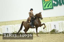 24R13_14056 thumbnail