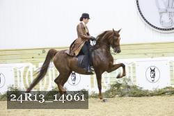 24R13_14061 thumbnail