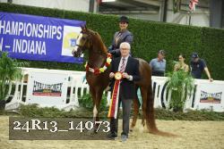 24R13_14073 thumbnail
