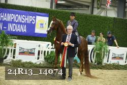 24R13_14074 thumbnail