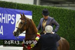 24R13_14076 thumbnail