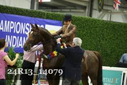 24R13_14079 thumbnail