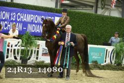 24R13_14080 thumbnail