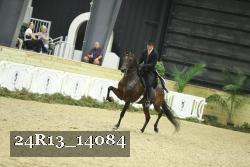 24R13_14084 thumbnail