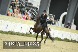 24R13_14085 thumbnail