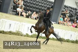 24R13_14086 thumbnail