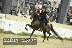 24R13_14087 thumbnail