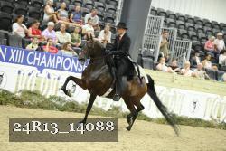 24R13_14088 thumbnail