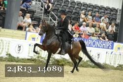 24R13_14089 thumbnail