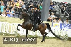 24R13_14090 thumbnail