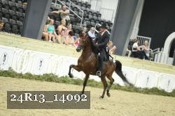 24R13_14092 thumbnail