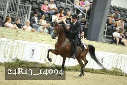 24R13_14094 thumbnail