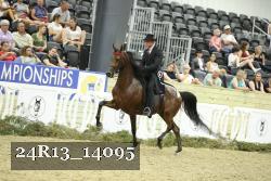 24R13_14095 thumbnail